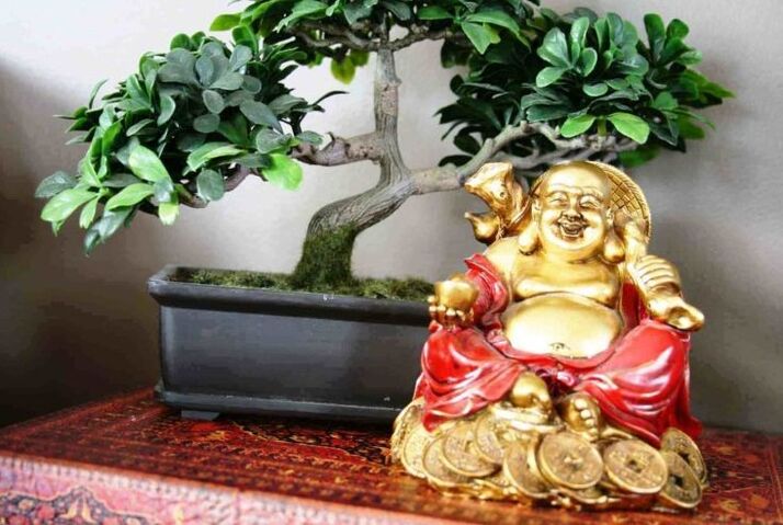 Kaligayahan at kasaganaan sa tahanan ayon sa Feng Shui